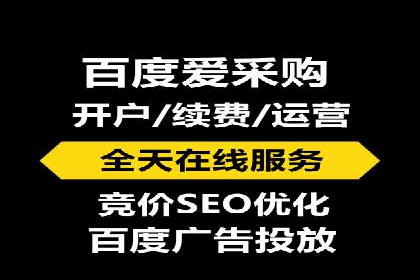 百度竞价排名实战：某行业领先企业的成功之路